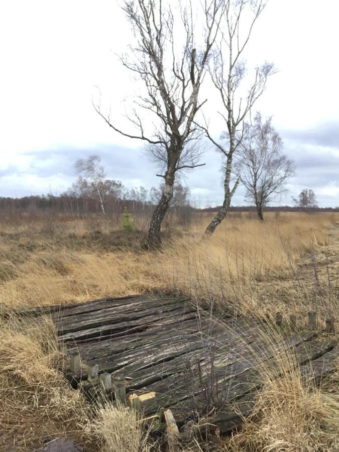 Kranich-Holzferienhaus 'Kleine Auszeit' Rehden Ngoại thất bức ảnh