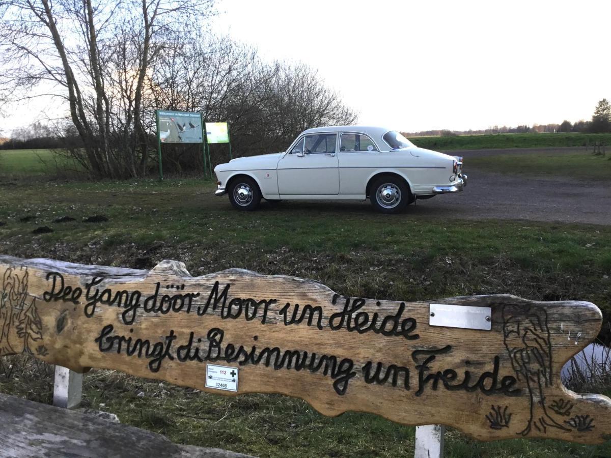 Kranich-Holzferienhaus 'Kleine Auszeit' Rehden Ngoại thất bức ảnh